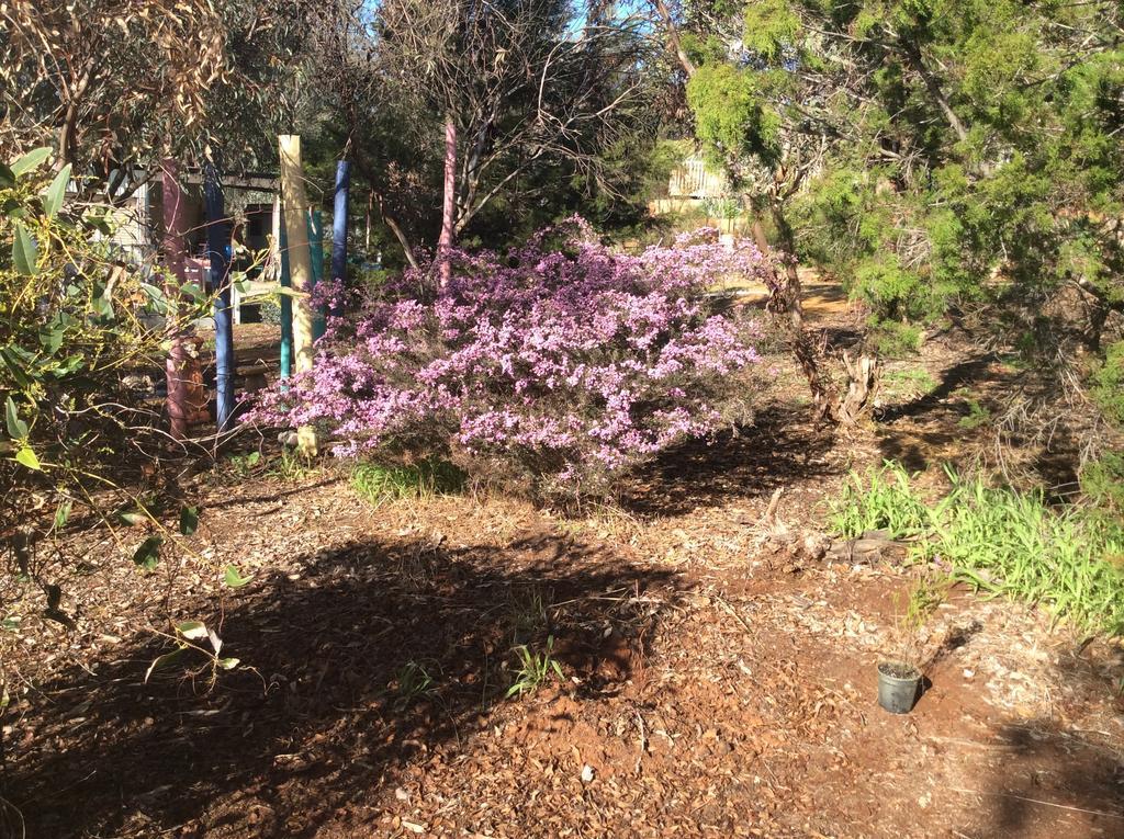 Floravalley Bed & Breakfast Toodyay Luaran gambar
