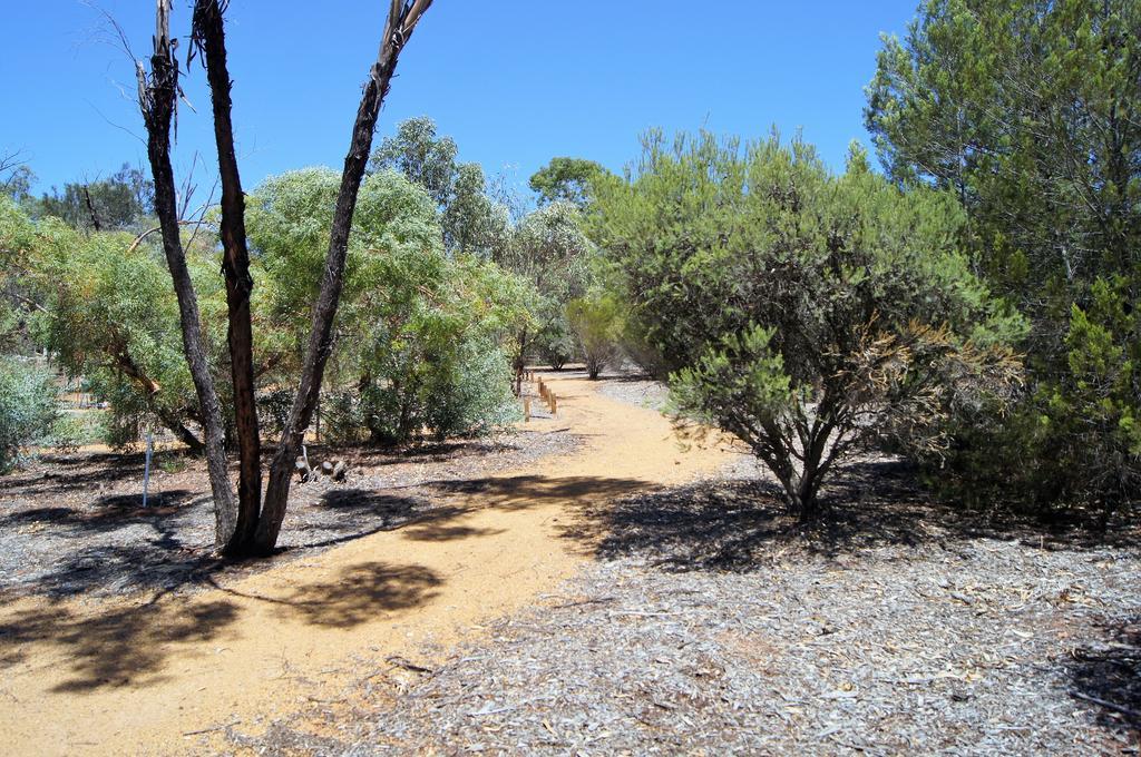 Floravalley Bed & Breakfast Toodyay Luaran gambar