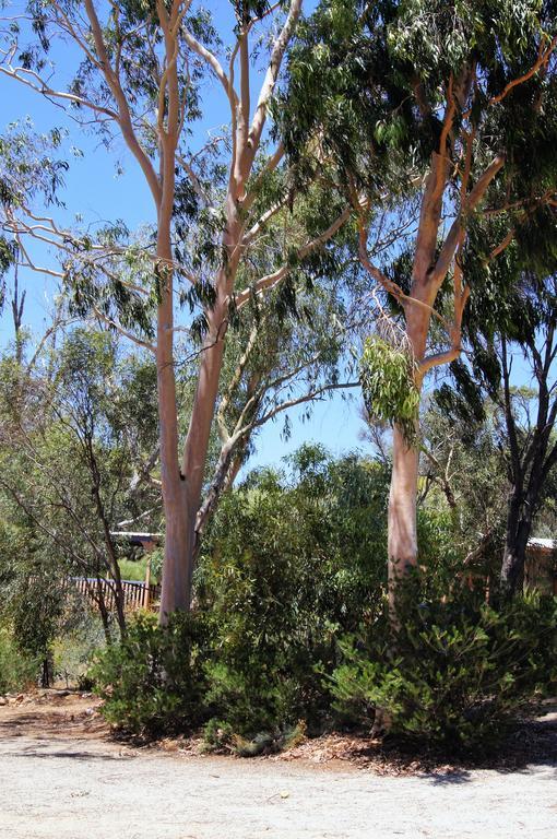 Floravalley Bed & Breakfast Toodyay Luaran gambar