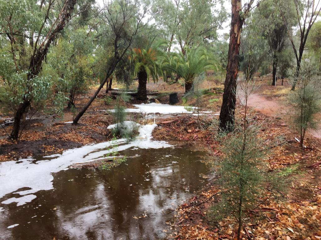 Floravalley Bed & Breakfast Toodyay Luaran gambar